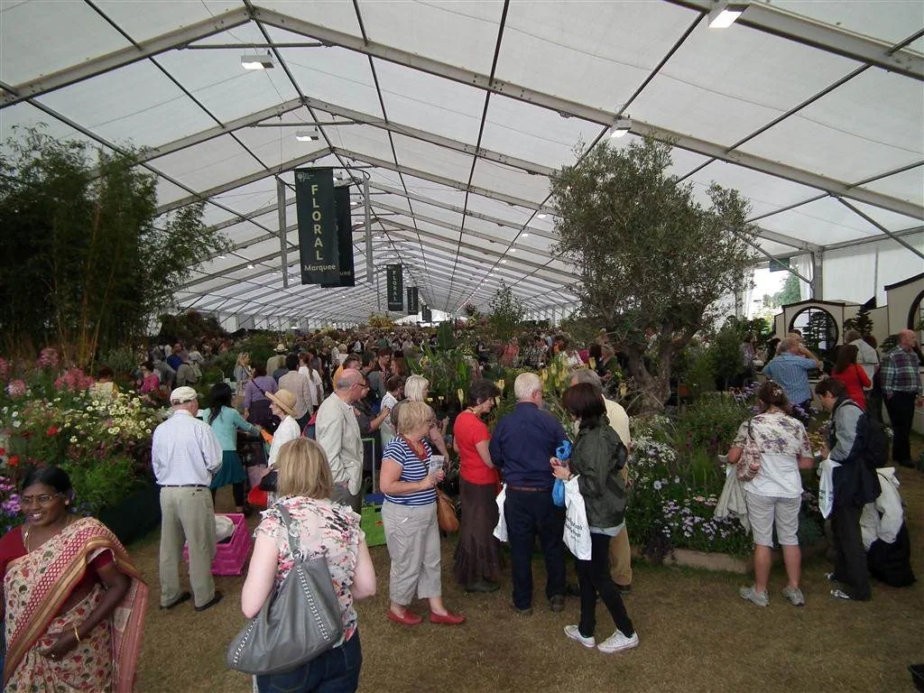 Floral marquee part ii 5